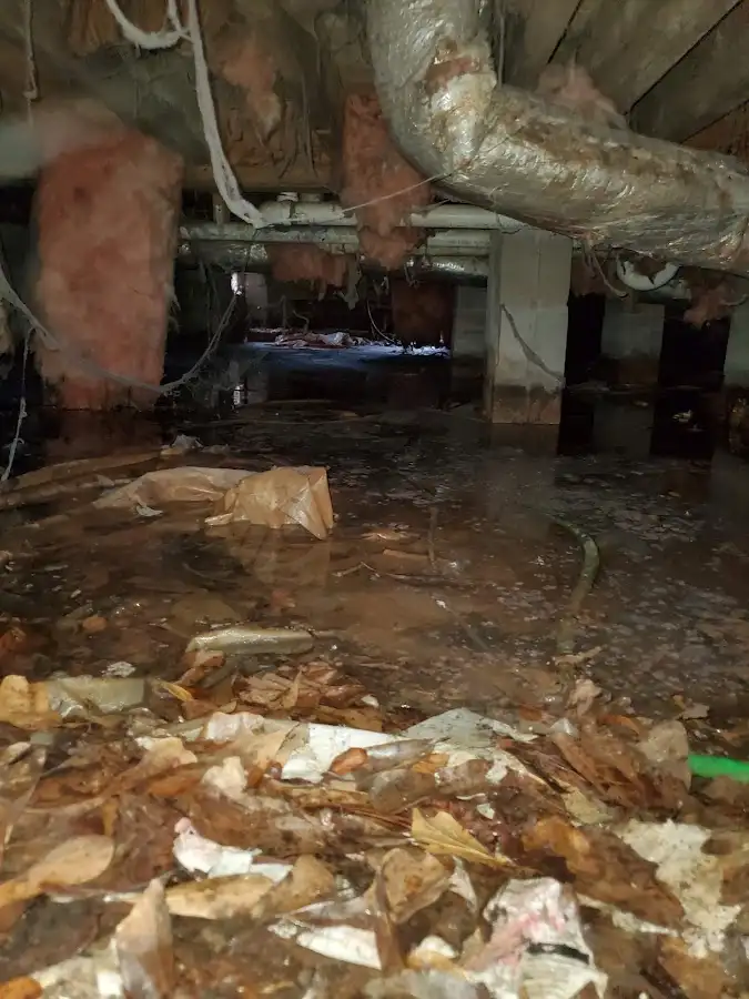 Crawl space flood assessment for Leak Detection & Repair in San Diego
